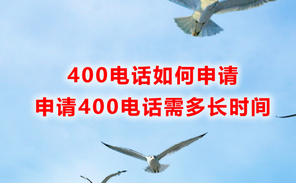 400电话如何申请