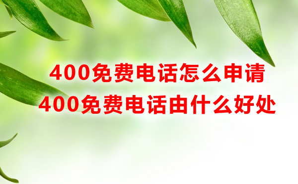 400免费电话号码怎么申请