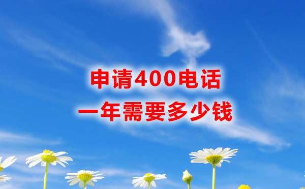 申请400电话一年需要多少钱