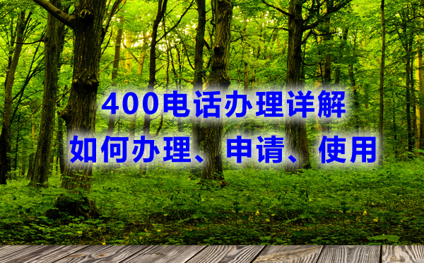 400电话办理详解：如何申请、办理和使用